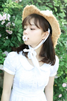 日本一本二本三区