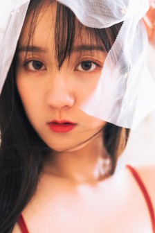 我和我的太阳